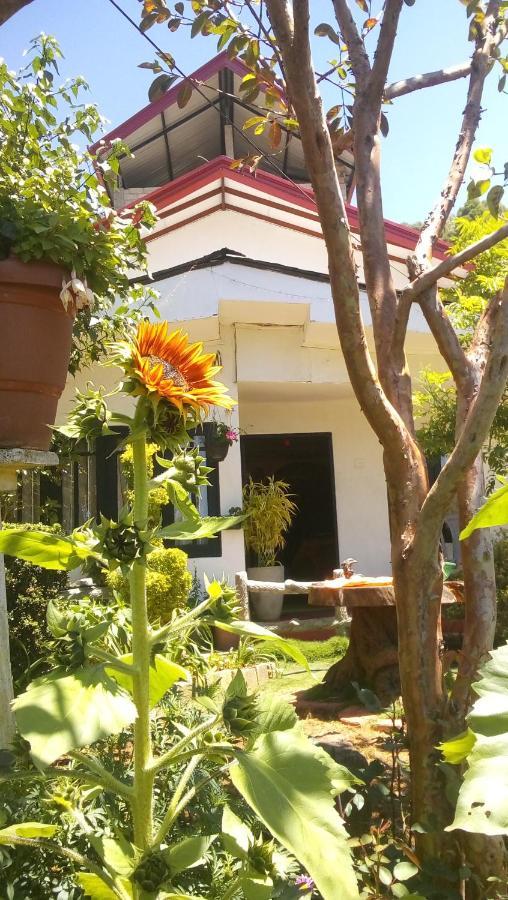 Redwood Homestay Nuwara Eliya Extérieur photo