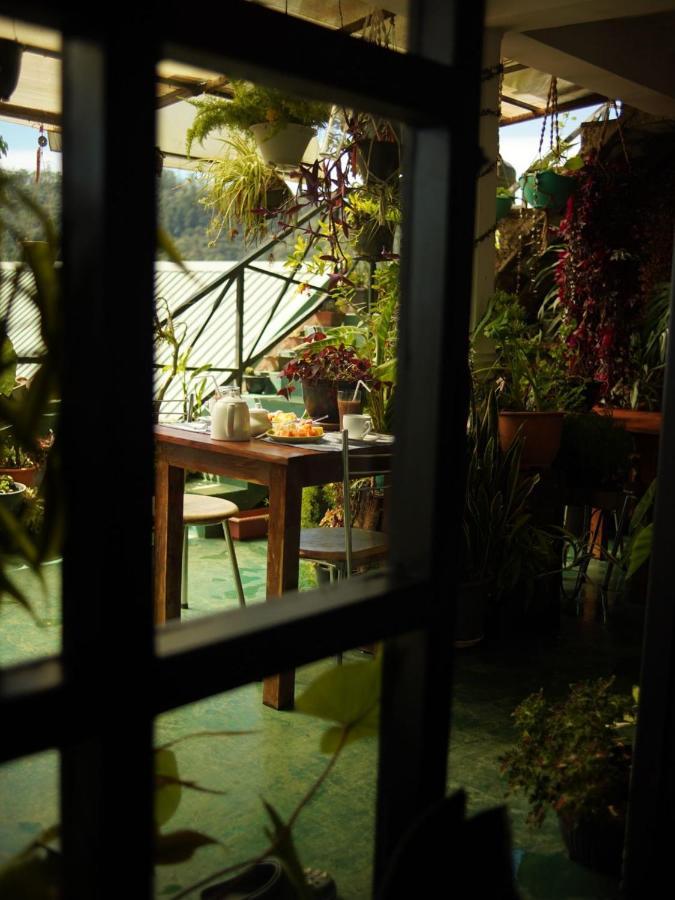 Redwood Homestay Nuwara Eliya Extérieur photo