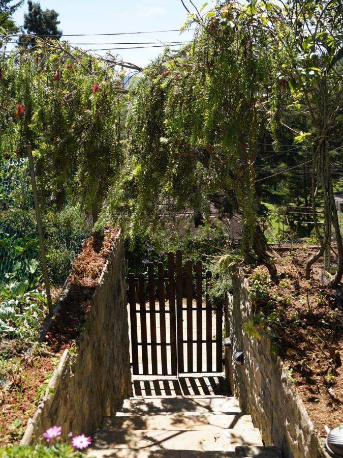 Redwood Homestay Nuwara Eliya Extérieur photo