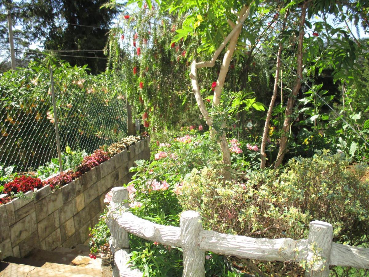 Redwood Homestay Nuwara Eliya Extérieur photo