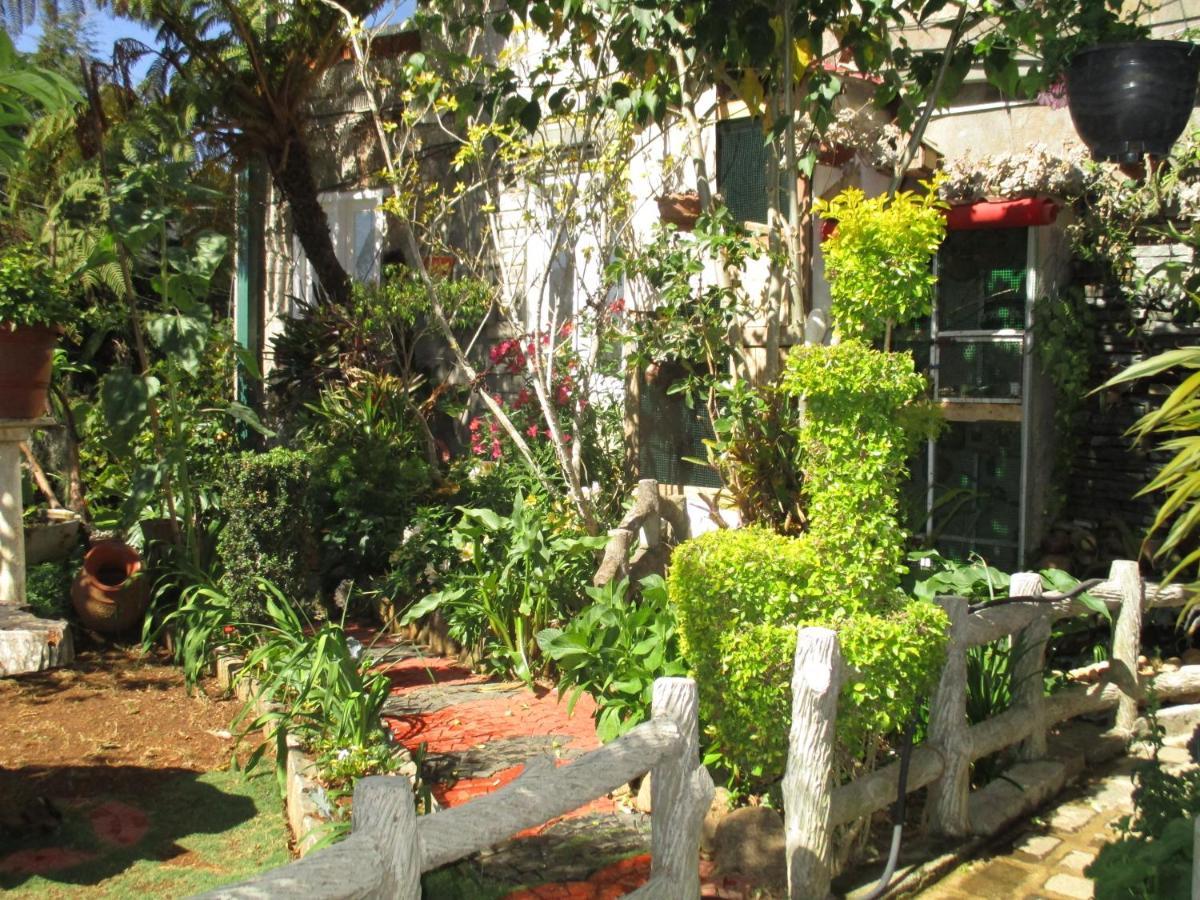 Redwood Homestay Nuwara Eliya Extérieur photo
